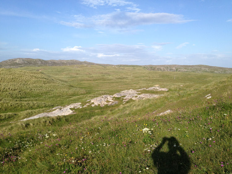 Another sea of grassed dunes