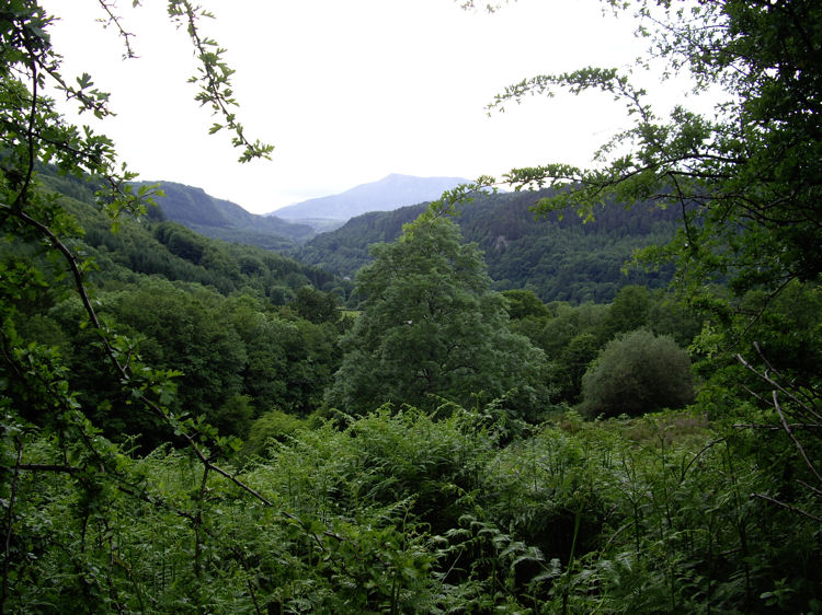 View through the trees from the A5 near Betws-y-Coed