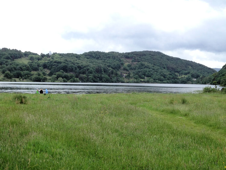 Llyn Gwynant