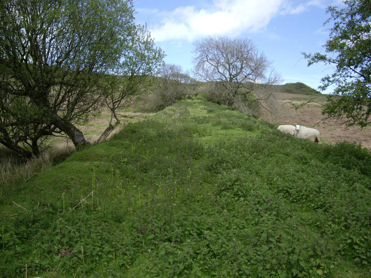 Looking up the disused railway incline
