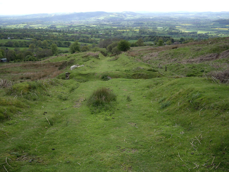 And a bit further up, looking back down the disused railway incline