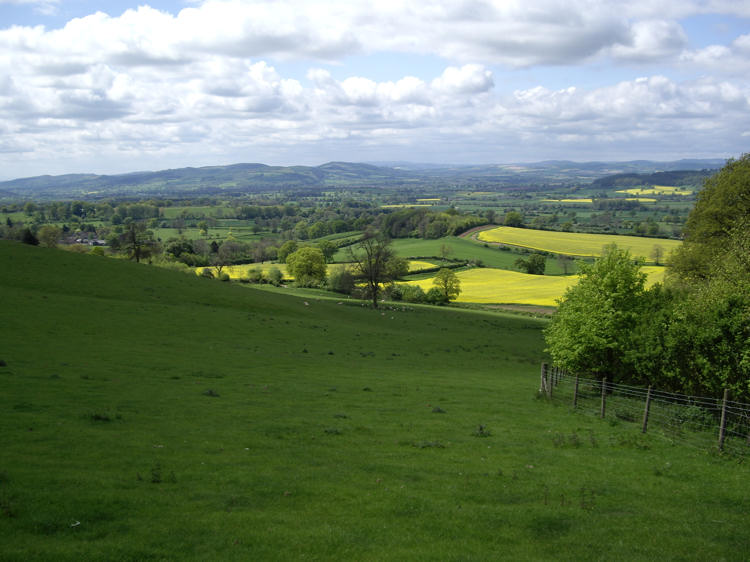 Lush countryside below