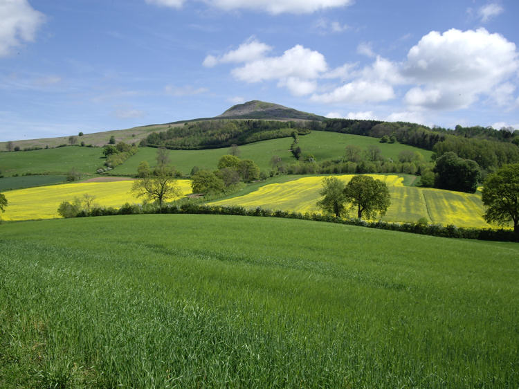 Looking back at Titterstone Clee from the north-west