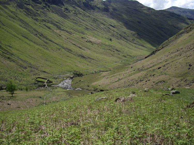 Looking back down to Lingcove Bridge and the sheepfold