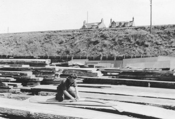 William in the timber yard at Herd & MacKenzie William in the timber yard at Herd & MacKenzie