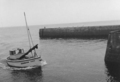 William's boat, 'Constancy', returning to Portknockie Harbour William's boat, 'Constancy', returning to Portknockie Harbour