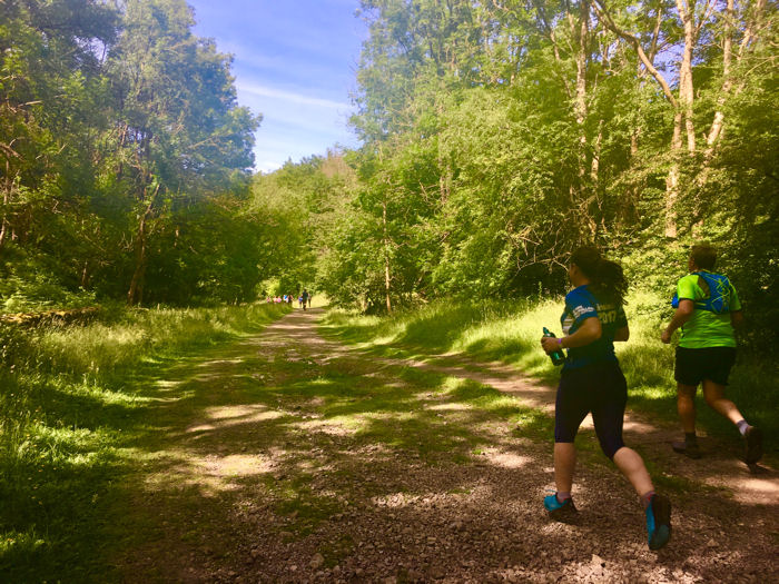 Running through lush greenery