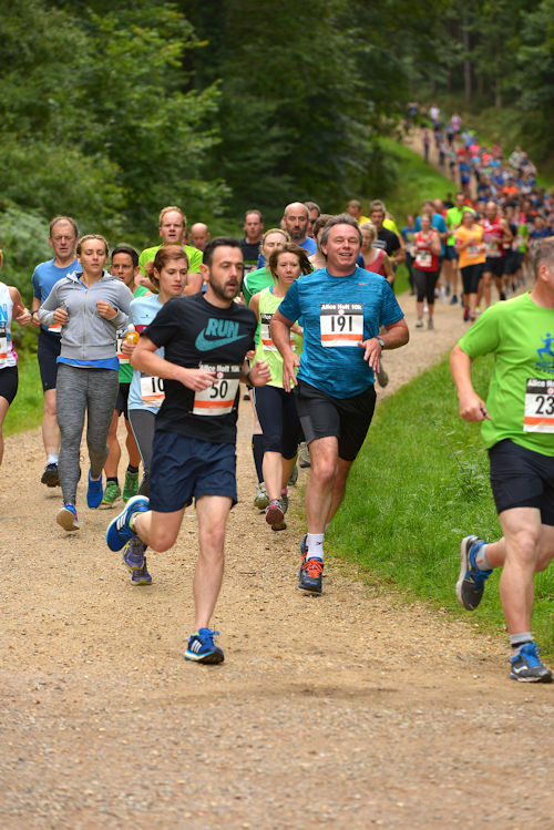 Runners snaking through Alice Holt Forest